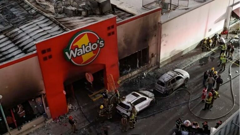 Waldos