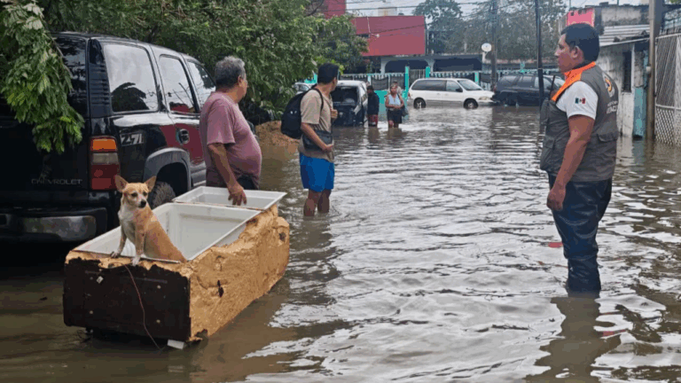 proteccion-civil-1024x576